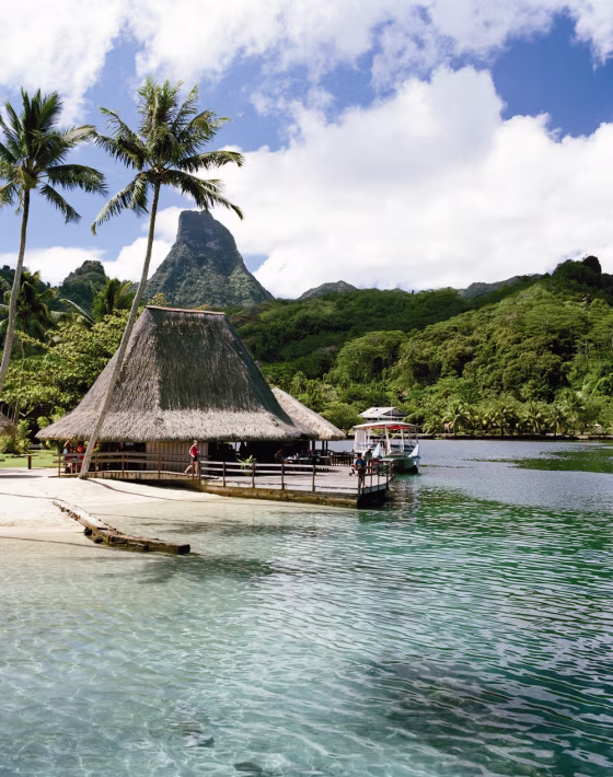 The Blue Pineapple Restaurant at Club Bali Hai, on Cook's Bay.